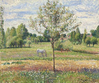 Il prato con cavallo grigio, Eragny da Camille Jacob Pissarro